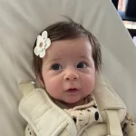 2025 귀여운 꽃 머리핀 세트 어린이 아기 여자아이 헤어 클립 핀 바레트 액세서리 헤어핀 헤드웨어 헤드드레스 장식품 - 이미지 4