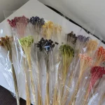 20g 꽃 꽃다발 진짜 말린 꽃 꽃다발 작은 산 꽃 표본 꽃 DIY 재료 홈 테이블 꽃 자연 - 이미지 2