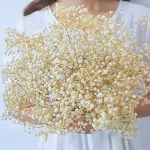 자연 신선한 말린 보존 꽃 Gypsophila paniculata, 결혼식 장식, 가정 장식을위한 아기의 호흡 꽃 꽃다발 선물