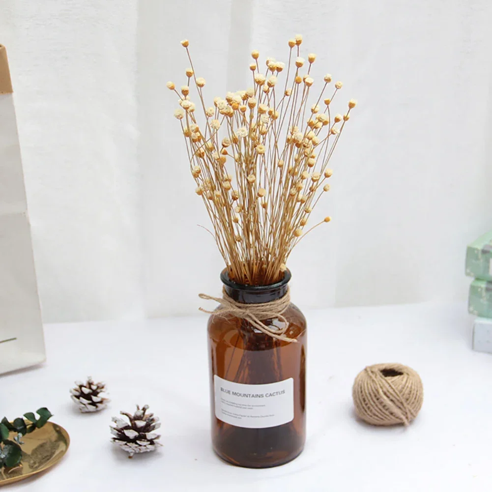 50pcs 말린 꽃 꽃다발 마른 꽃 홈 데코 작은 미니 말린 꽃 꽃다발 장식 사진 사진 배경 장식