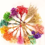 천연 건조 부케, 베이비 브레스 브레스, 신선한 미니 드라이 플라워 프레스, 홈 웨딩 파티 장식, 도매 - 이미지 2