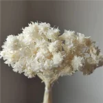 20g 꽃 꽃다발 진짜 말린 꽃 꽃다발 작은 산 꽃 표본 꽃 DIY 재료 홈 테이블 꽃 자연 - 이미지 5