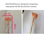 20g 꽃 꽃다발 진짜 말린 꽃 꽃다발 작은 산 꽃 표본 꽃 DIY 재료 홈 테이블 꽃 자연 - 이미지 4