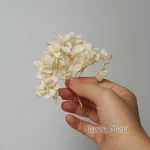 보존 된 수국 꽃 Paniculata 타원형 잎 DIY 재료 홈 웨딩 사무실 장식 크리스탈 접착제 꽃 향기로운 양초 - 이미지 5